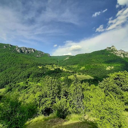 Rafting Camp Green Tara Scepan-Polje Exterior foto
