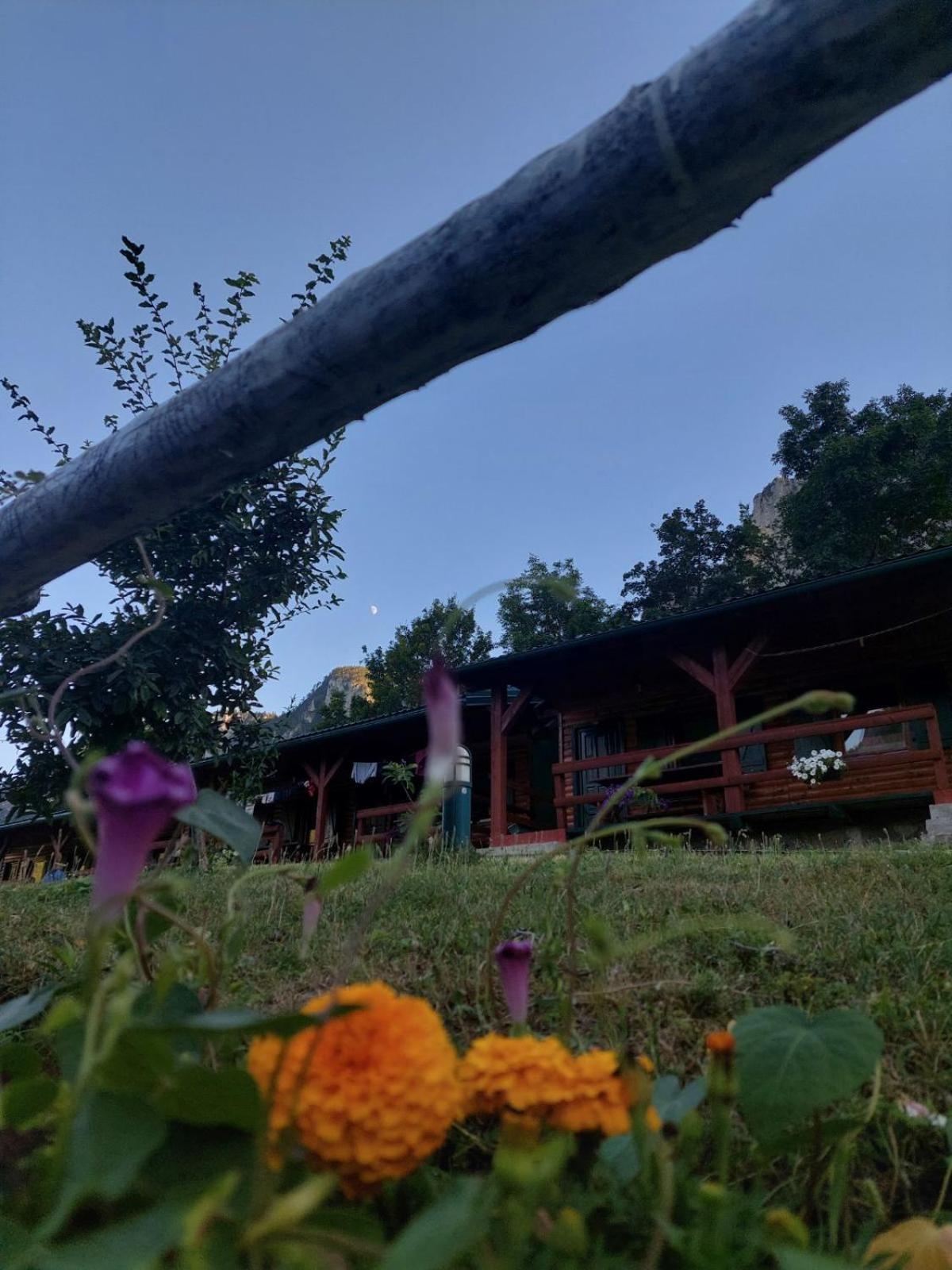 Rafting Camp Green Tara Scepan-Polje Exterior foto