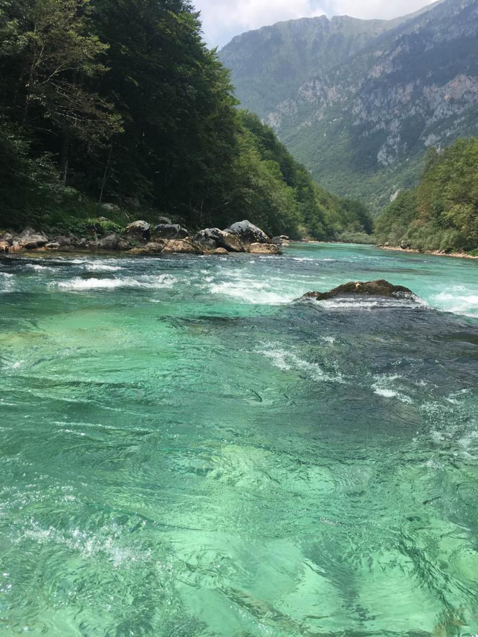 Rafting Camp Green Tara Scepan-Polje Exterior foto